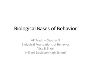 Biological Bases of Behavior - Mrs. Short's AP Psychology Class