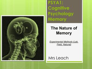 Cognitive Psychology: Memory