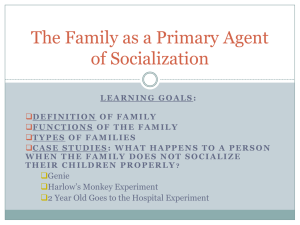 The Family as a Primary Agent of Socialization