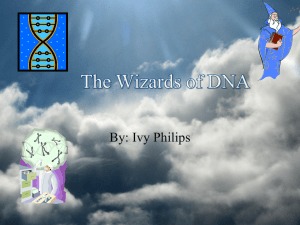 The Wizards of DNA