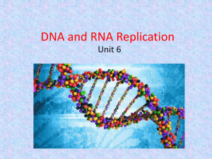 DNA and DNA Replication