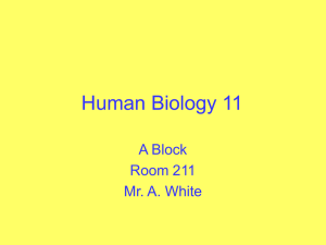 Human Biology 11