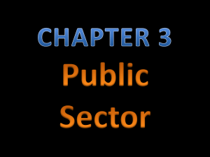 CHAPTER 3 Public Sector
