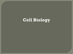 Cell Biology - srm.cse.section-a