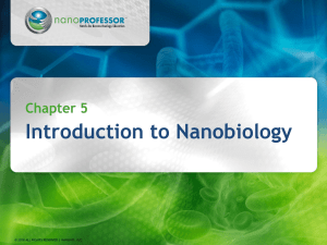 Chapter 5 * Introduction to Nanobiology