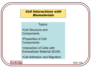 Cell interactions F10