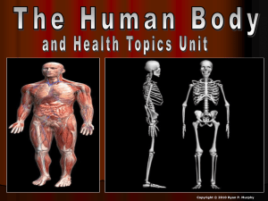 Intro to Body Systems - Magoffin County Schools