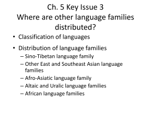 Ch. 5 Key Issue 3 Where are other language families distributed?