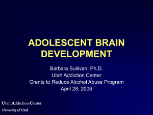 adolescent brain development - Brain and Cognition Laboratory