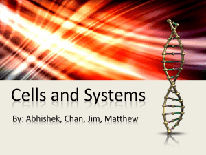 Science – Cells and Systems PowerPoint