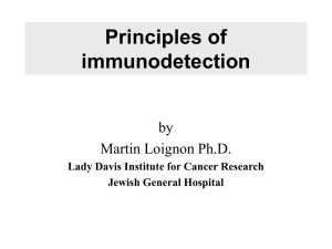 Principles of immunodetection