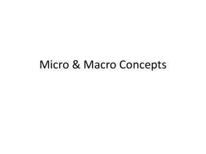 Micro & Macro Concepts