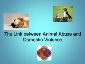 THE LINK - Longmont Ending Domestic Violence Initiative