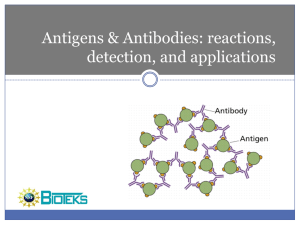 Antigens & Antibodies