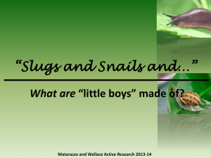 “Slugs and Snails and…” Matarazzo and Wallace Active Research