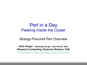 PowerPoint Presentation - Perl in a Day