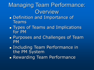 Chapter 11 - Managing Team Performance:Overview