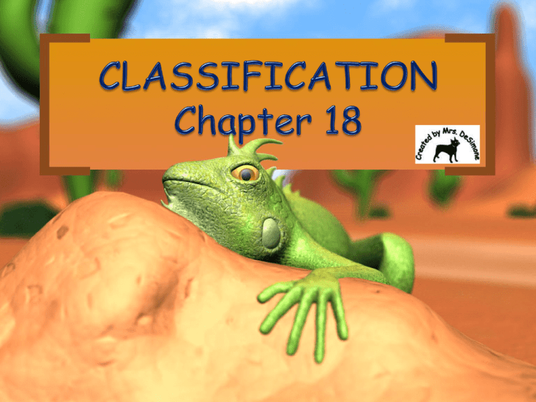 CLASSIFICATION Chapter 18