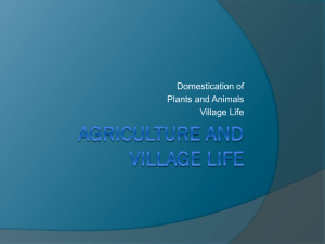 Agriculture and Village life