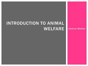Introduction to Animal Welfare