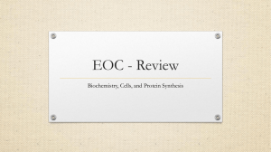 EOC - Review
