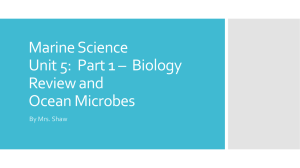 Marine Science Unit 6: Ocean Microbes
