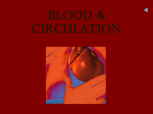 Blood & circulation