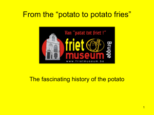 ppt - Frietmuseum