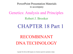 Brooker Chapter 18