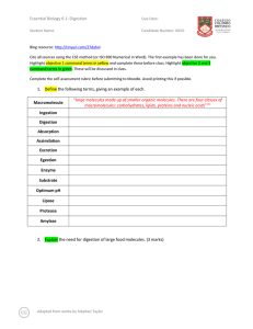 CCBessentials 6.1 Digestion (Core)