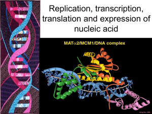 Replication, transcription, translation and expression of nucleic acid