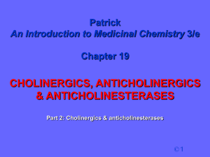 Patrick chapter 19 part 2