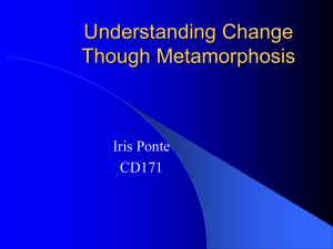 Understanding Change Though Metamorphosis