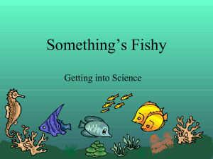 Something*s Fishy