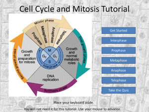 Cell Cycle and Mitosis Tutorial