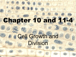 B. Division of the Cell
