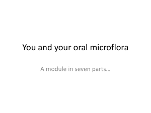 You and your oral flora