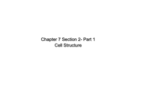 chapter 7 section 2 notes
