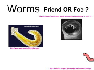 Worms - Local.brookings.k12.sd.us