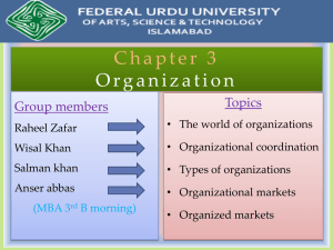 Organization slide by salman khan
