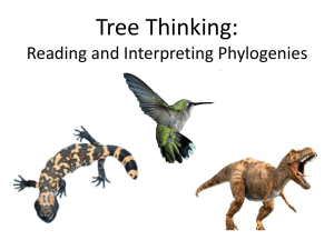 Reading and interpreting Phylogenies (PowerPoint) Mountain West