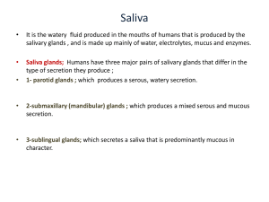 Saliva_mine