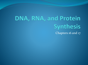 DNA, RNA, and Protein Synthesis