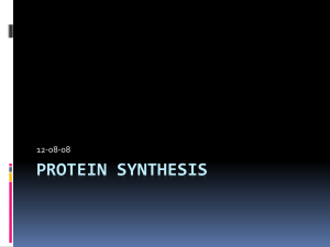 Protein Synthesis