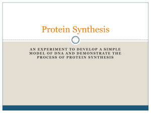 Protein Synthesis - Jannali