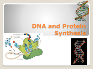 DNA and Protein Synthesis PowerPoint