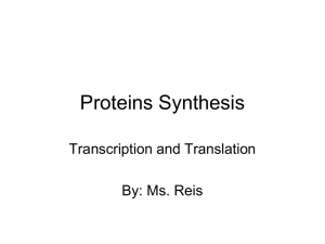 Protein Synthesis Powerpoint