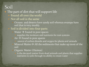 Soil - williamsscience