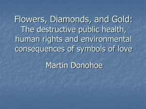 Flowers, Diamonds, and Gold - Public Health and Social Justice
