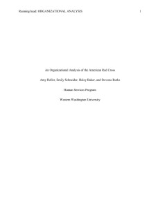 Organizational Analysis Paper